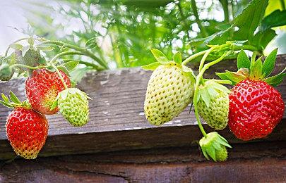 网传《使命召唤》2023新作推迟发售 要认真打磨